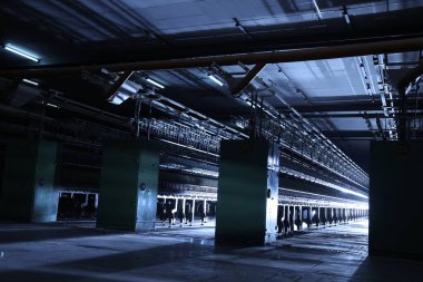 Eski fabrikanın içi.