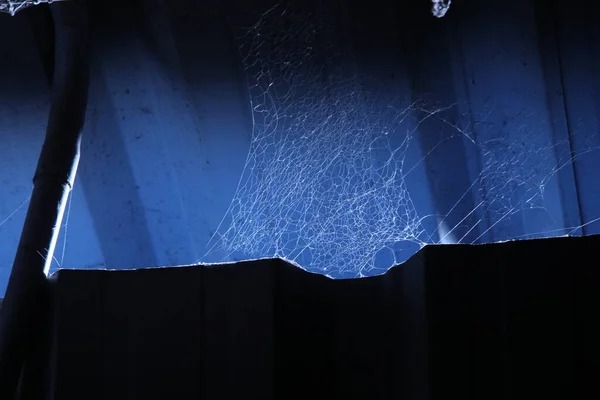 Scary Spider Web Macro Disparo — Foto de Stock