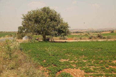 Kırsal Köy Bölgesi Hindistan