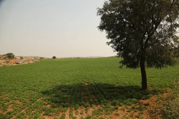 Zona Rural India —  Fotos de Stock