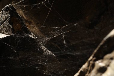 Hindistan 'daki Kaya Mağaraları