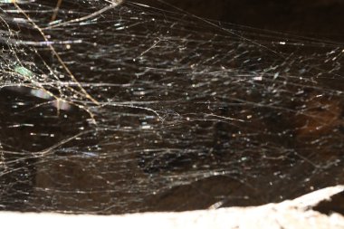 Hindistan 'daki Kaya Mağaraları