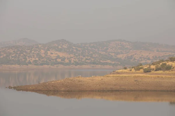 Φράγμα Του Νερού Rajamundry Andhra Pradesh Ινδία — Φωτογραφία Αρχείου