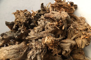 Doğada Kuru Ağaç Gövdesi Dokusu