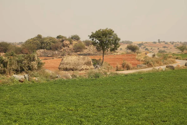 Landsbygdsområde Indien — Stockfoto