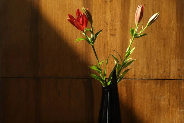Evdeki Kapalı Çiçek — Stok fotoğraf