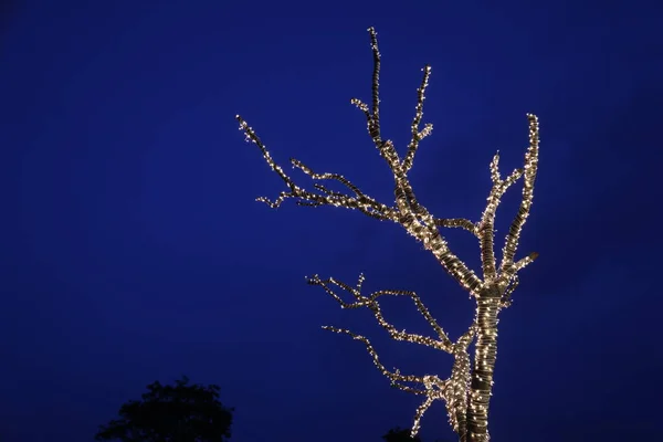 Lichter Dekoration Auf Einem Baum — Stockfoto