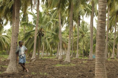 Kırsal Köy Bölgesi Hindistan