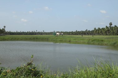 Kırsal Köy Bölgesi Hindistan