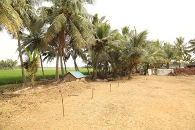 Kırsal Köy Bölgesi Hindistan