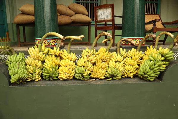Bananen Einer Funktion — Stockfoto