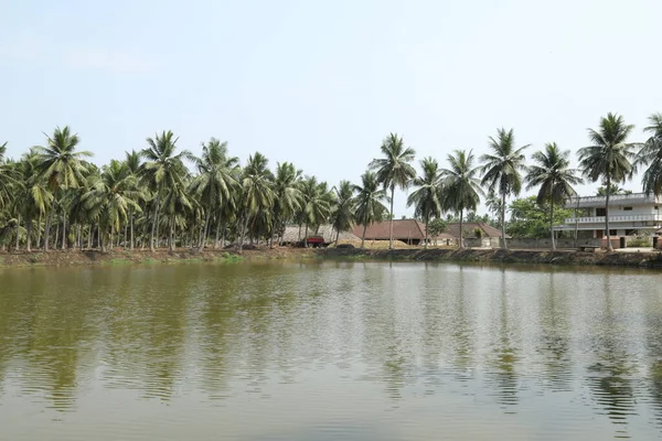 Kırsal Köy Bölgesi Hindistan