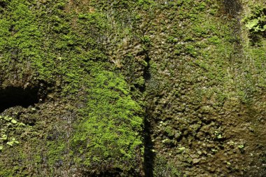Chandigarh Hindistan 'ın Rock Garden' ı