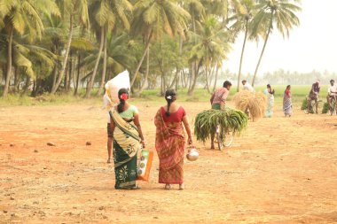 Hyderabad Tarlaları 'nda çalışan insanlar 25 Mart 2021