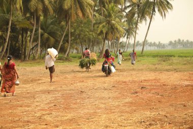 Hyderabad Tarlaları 'nda çalışan insanlar 25 Mart 2021