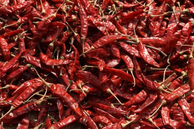Kırmızı biberlere yakın çekim