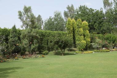 Bahçe Tatil Köyü Hindistan