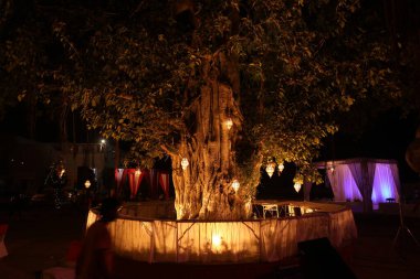 Ağaçtaki ışıklar süslemesi