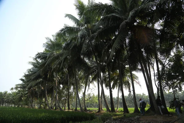 Garden Holiday Resort India — Stock Photo, Image