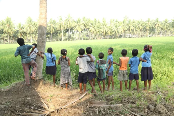 Indian Observation Des Enfants Dans Les Champs — Photo