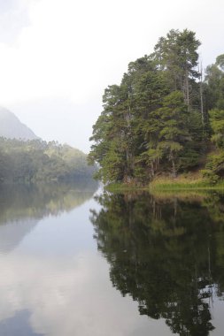 Turist Konumu Munnar Kerala Hindistan