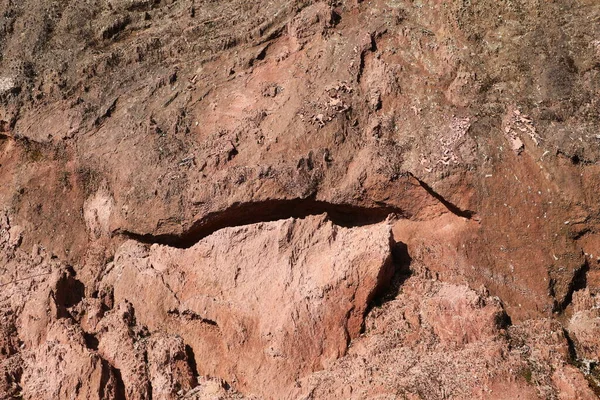 Πρώτη Πέτρα Υφή Closeup — Φωτογραφία Αρχείου