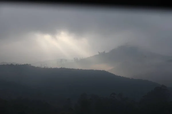 Tourist Location Munnar Kerala India