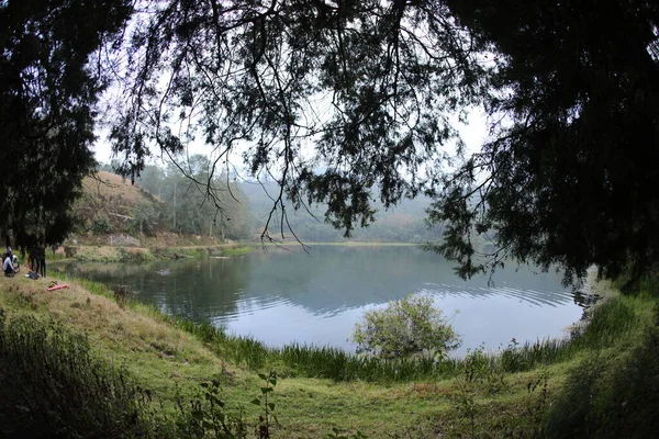 Ubicación Turística Munnar Kerala India — Foto de Stock