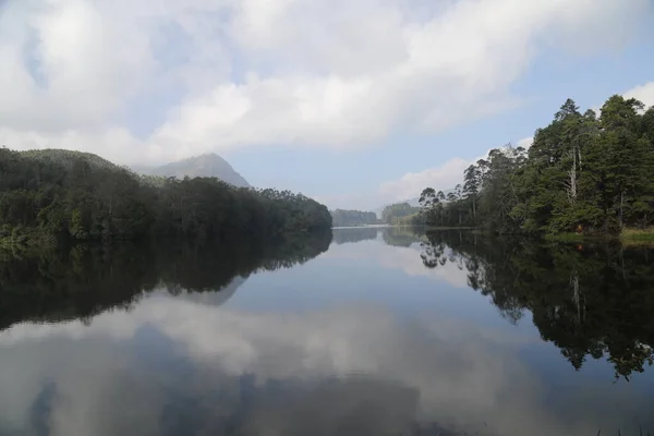 Tourist Location Munnar Kerala India