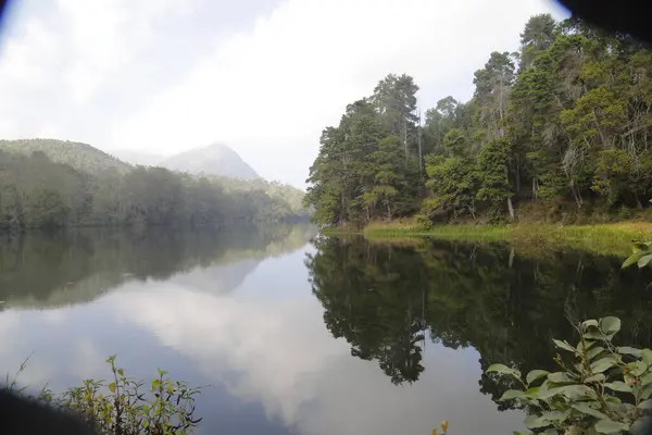 Turist Konumu Munnar Kerala Hindistan — Stok fotoğraf