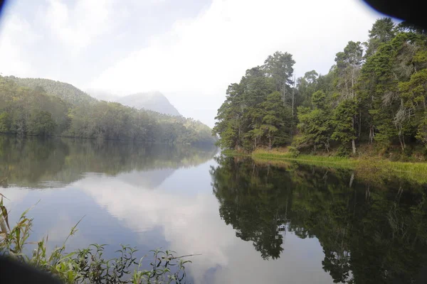 Ubicación Turística Munnar Kerala India — Foto de Stock