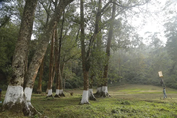 Tourist Location Munnar Kerala India