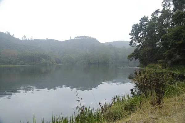 Τουριστική Τοποθεσία Munnar Kerala Ινδία — Φωτογραφία Αρχείου