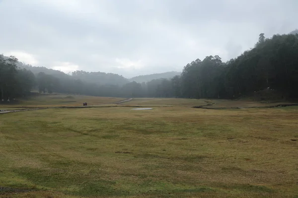 Tourist Location Munnar Kerala India