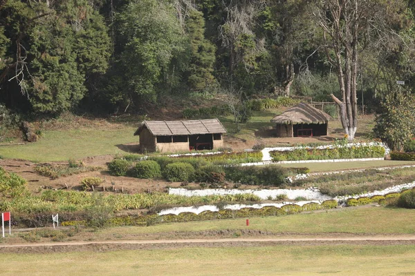 Tourist Location Munnar Kerala India