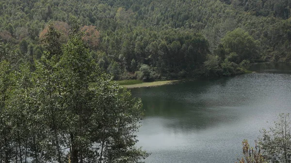 Τουριστική Τοποθεσία Munnar Kerala Ινδία — Φωτογραφία Αρχείου