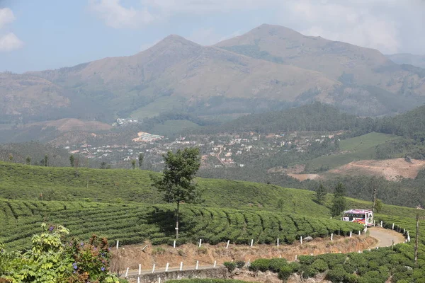 Tea Plantation Foarm Landscape Munnar Kerala India — Stock Photo, Image