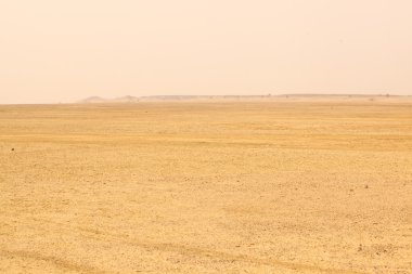 Çöl manzarası içinde Hindistan