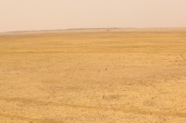 Çöl manzarası içinde Hindistan