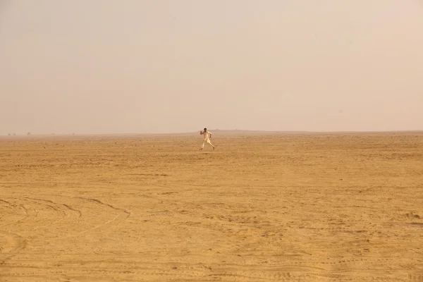 Man in Desert — Stock Photo, Image
