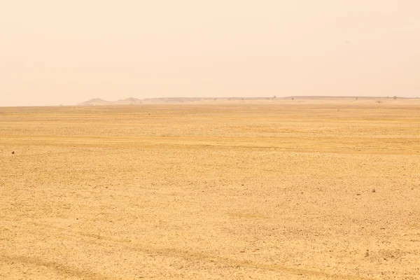 Paysage du désert en Inde — Photo