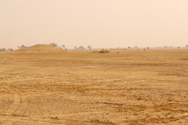 Çöl manzarası içinde Hindistan