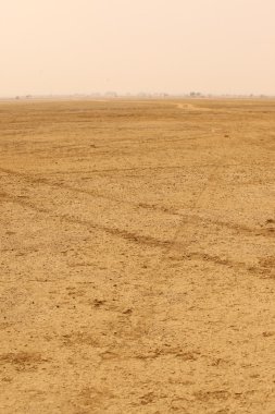 Çöl manzarası içinde Hindistan