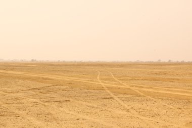 Çöl manzarası içinde Hindistan