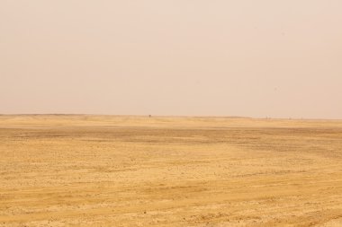 Çöl manzarası içinde Hindistan