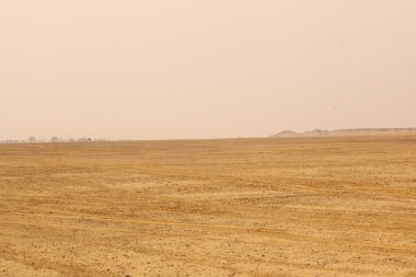 Çöl manzarası içinde Hindistan