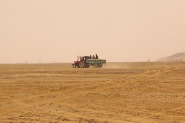 Araç çöl, Hindistan