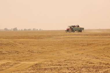 Araç çöl, Hindistan