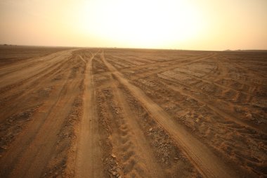 Çöl manzarası içinde Hindistan