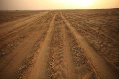 Çöl manzarası içinde Hindistan
